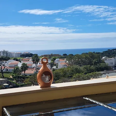 Lovely 1bdr Penthouse With Sea View -